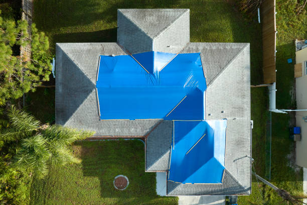 Best Roof Replacement  in Douglas, MI