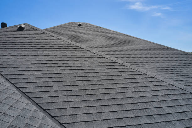 Best Roof Repair  in Douglas, MI