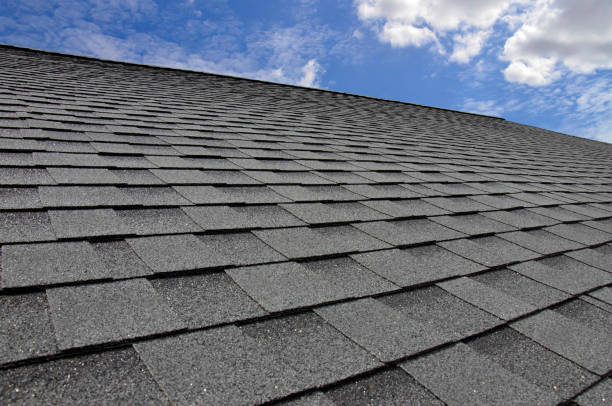 Best Roof Maintenance and Cleaning  in Douglas, MI